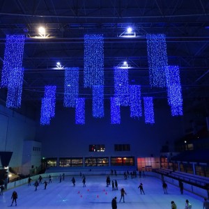 Actividades en la pista de hielo de Madrid