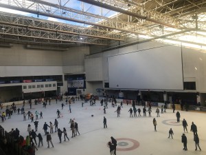 Palacio de Hielo centro de ocio y recreativo